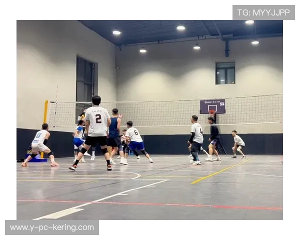 成都排球队个人能力分析与发展潜力探讨